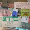 芸術の秋にピッタリ♪