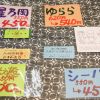 松山市の温泉巡り