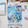 夏休みの人気イベント