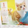 来年の事を言えば…