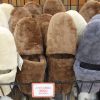 足もとからぬっくぬく