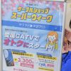 春ですね～♪