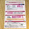 6月のオトクなキャンペーンご紹介！！＆土曜夜市を開催します！！